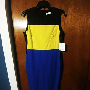 NWT Calvin Klein color block dress
